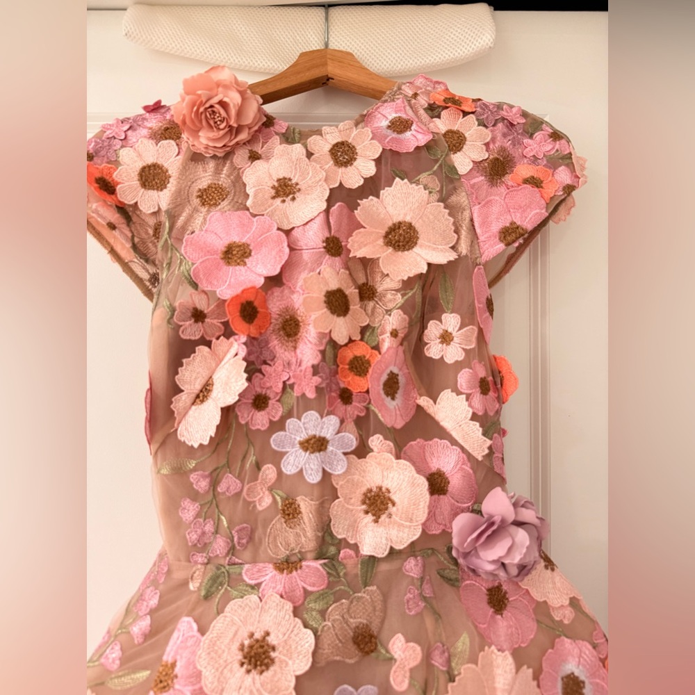 New Bronx and Banco Jasmine Embroidered Floral Applique Mini Dress - Picture 8 of 15